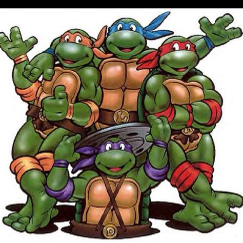 Teenage Mutant Ninja Turtles Ninja Turtles Cartoon Ninja Turtles