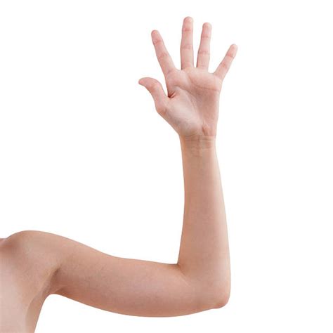Royalty Free Human Arm Pictures Images And Stock Photos Istock
