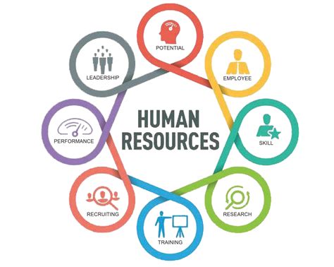 Human Resources Management Responsibilities Management And Leadership
