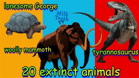 Extinct Animals Pictures With Names