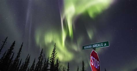 Northern Lights In Fairbanks Ak Webcam