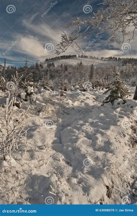 Winter Mountains With Frozen Tree Branch Snow Hill And Blue Sky Wirh