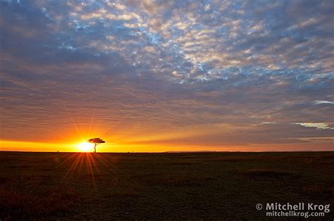 Epic Maasai Mara African Sunrise Landscape Kenya