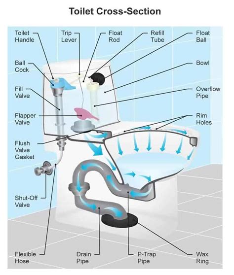 Guide To Parts Of A Toilet With Diagrams Chegospl