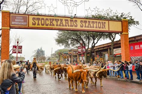 A Guide To The Fort Worth Stockyards A Make Believe World