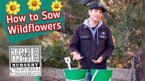 How To Sow Wildflower Seeds Youtube