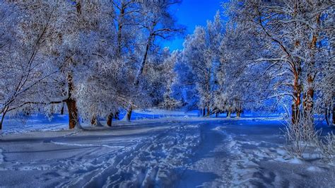 Beautiful Snow Wallpapers Wallpaper 1 Source For Free Awesome
