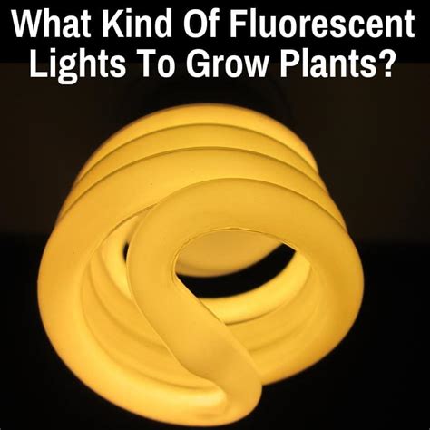 Maybe you would like to learn more about one of these? What Kind Of Fluorescent Lights To Grow Plants (Including ...