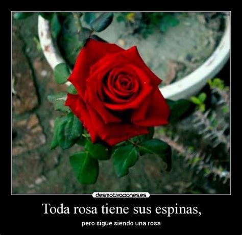 Frases De Rosas Y Espinas Estudiar