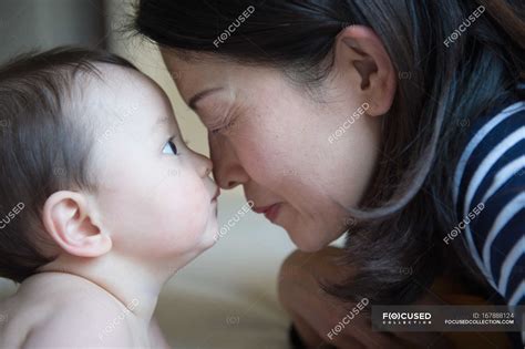 Mother And Baby Babe Rubbing Noses Close Up Touching Cute Stock Photo