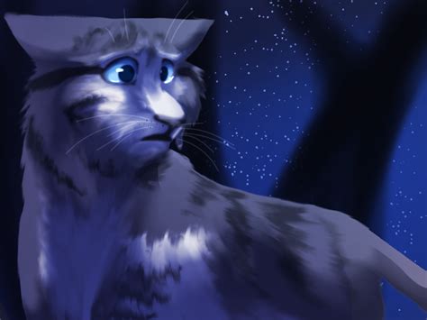 Morningstar From Warrior Cats On Ibispaint X By Drawesomejulia On