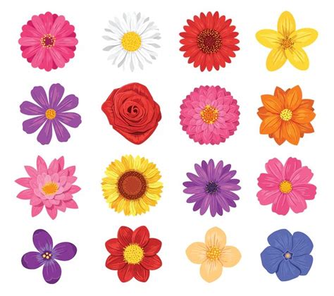 Flores Para Imprimir Y Recortar De Colores