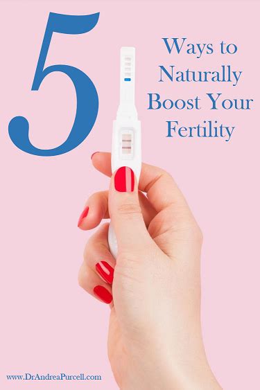 5 ways to naturally boost fertility dr andrea purcell