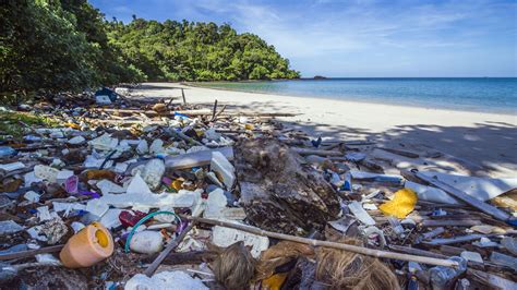 Plastic Water Bottle Island Pacific Ocean Best Pictures And