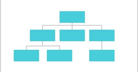 Tipos De Organigramas Organigrama Diseno Mapa Mental Unidad Images Images