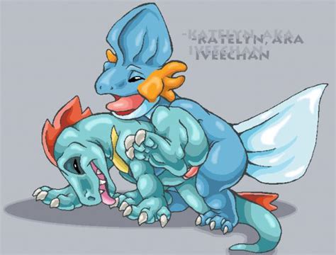 Rule 34 Color Female Insertion Interspecies Male Mudkip Nude Penis Pokemon Raised Leg Sex