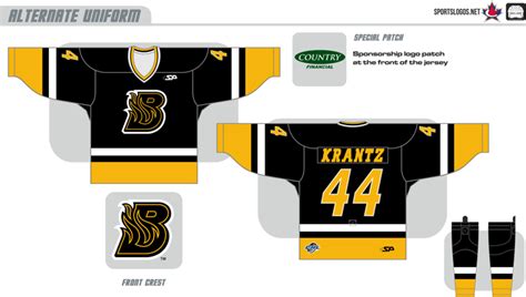 Bloomington Blaze Uniform Alternate Uniform Central Hockey League