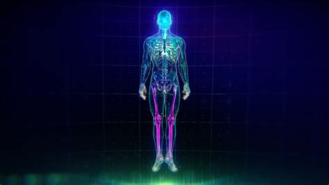 colorful human body animation  flares  particles