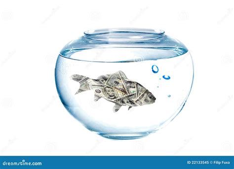 Dollar Fish Stock Image Image Of Dollar Fishbowl Concept 22133545