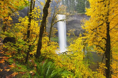 Must Visit State Parks In Oregon