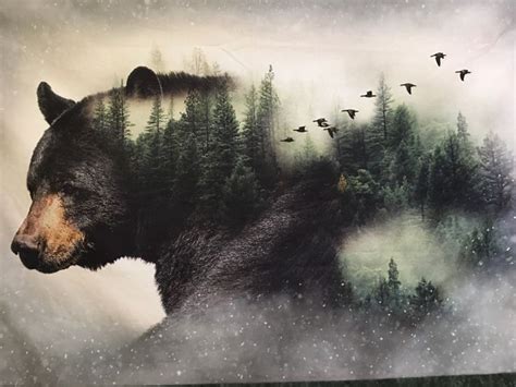 You will find it easy to learn how to draw beautiful and. Pin by Christine Rezler on Great Drawings | Black bear, Animals, Drawings