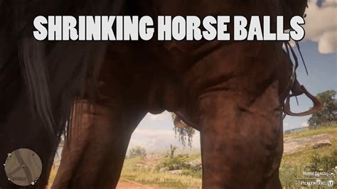 Shrinking Horse Balls Red Dead Redemption 2 Youtube