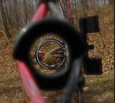 What Is A Peep Sight On A Bow Pros And Cons Of Using A Sight