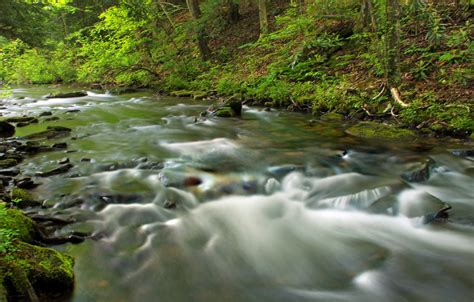 無料画像 森林 クリーク 荒野 ハイキング 葉 川 夏 モス ストリーム 秋 迅速な 水域 木 岩