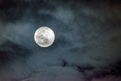 Full Moon In The Sky · Free Stock Photo
