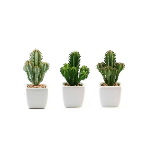 Set Of 3 Assorted Fake Succulents In Pot 5 Assorted Cactus