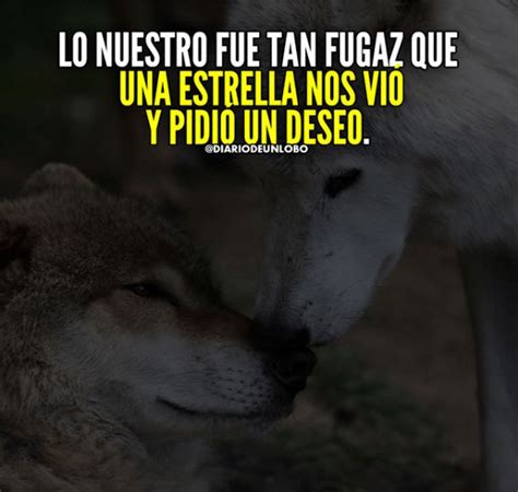 Sintético 102 Foto Imagenes De Lobos Con Frases Tristes De Amor Lleno