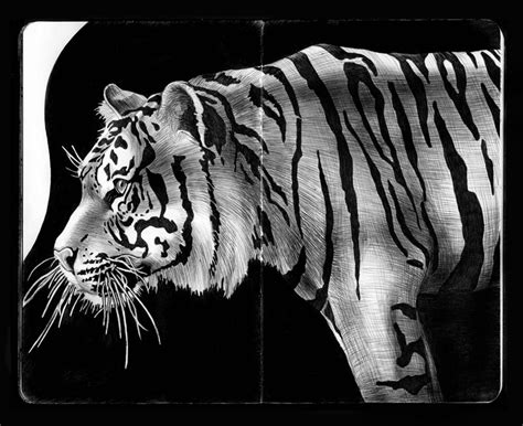 Detailed Animal Drawings Using Only Ink Twistedsifter