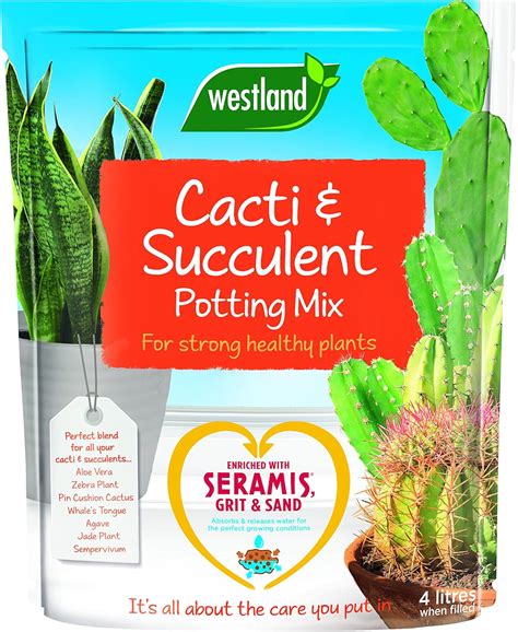 4 L Westland 4 Litre Cacti And Succulent Potting Compost Mix Enriched With Seramis Amazon