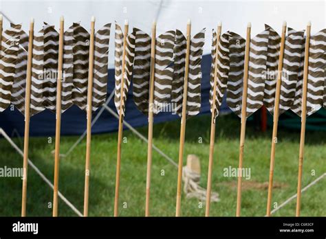 A Section Of Feathered Arrows Stock Photo Alamy