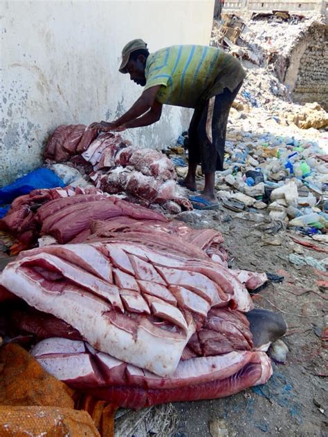 For example, if a certain halal food is excess and indulged, causing disease and liberal pride in that indulgence, then it should be considered. Somalia: Drying Shark Meat