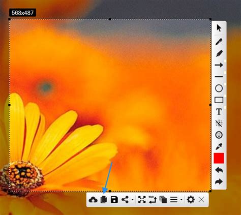 How To Copy Paste Screenshots Free Screenshot Tool
