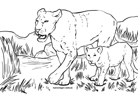 Lioness Coloring Pages