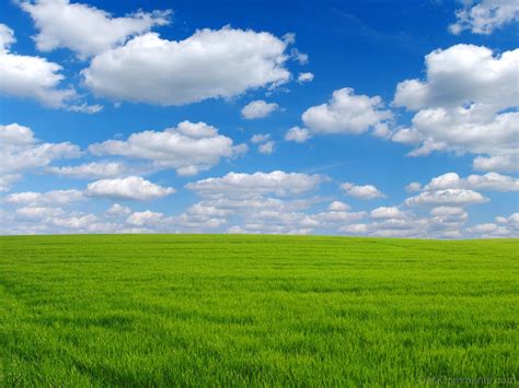 Clouds And Grass Wallpapers