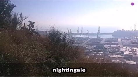 Nightingale Xxx Mobile Porno Videos And Movies Iporntv