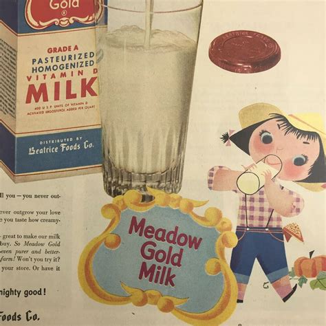 Meadow Gold Milk Vintage Magazine Print Ad Full Page Color Ebay