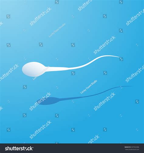 Human Sperm Cell Male Fertility Vector Stock Vector Royalty Free 597992306 Shutterstock