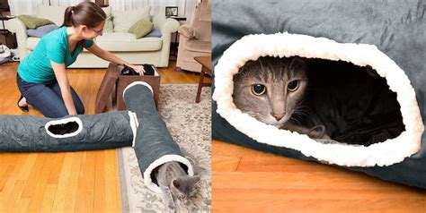 The 6 Best Toys For Bored Cats