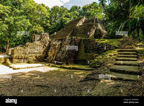 Lamanai Archaeological Reserve Mayan Mast Temple In Belize Jungle Stock