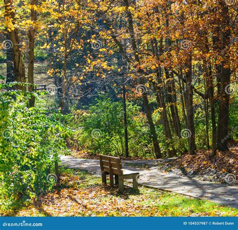 Woods At Park With Trails And Lovers Bench Stock Image Image Of Color