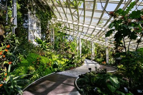 National Orchid Garden Has 3 New Additions Including A Glasshouse