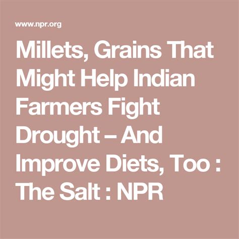 A Forgotten Group Of Grains Might Help Indian Farmers And Improve Diets Too Indian Farmers