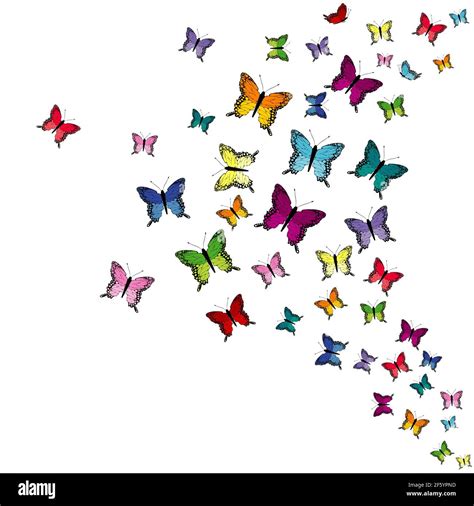 Colorful Flying Butterflies Isolated On White Background Stock Vector