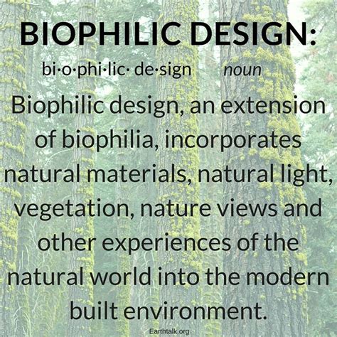 Biophilic Design Explained And How Its Transforming Workspaces Into