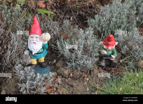 Garden Gnomes Stock Photo Alamy
