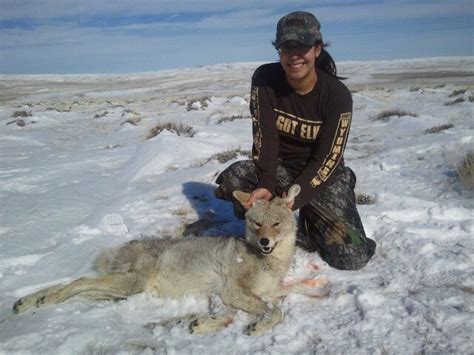 Coyote Hunt Hunting